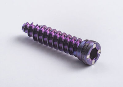 Cervical Plate Screw | C&W Swiss Manufactures Precision Medical Implants for the Spinal, Extremity, Trauma, & Orthopedics Markets. | Locking Screws, Cervical Plate Screws, Poly Axial Screws, Spinal Implants, Bone Screws, Trauma Screws, Extremity Screws, Orthopedic Screws, Drill Guides, Spinal & Hip Lag Screws, Polyaxial Screws, Spinal Connectors, Monoaxial Screws, Cervical Plate Screws, Cannulated Foot Screws, Fixation Pins